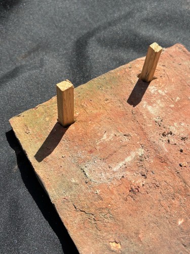 100 oak pegs - clay, peg